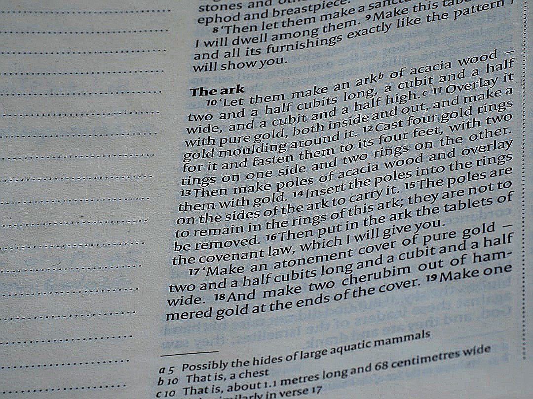 Text from a book detailing the ark's construction.