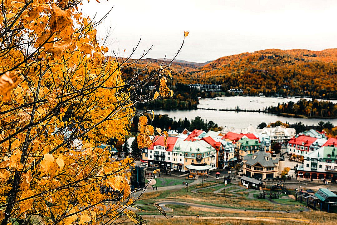 a town next to a lake