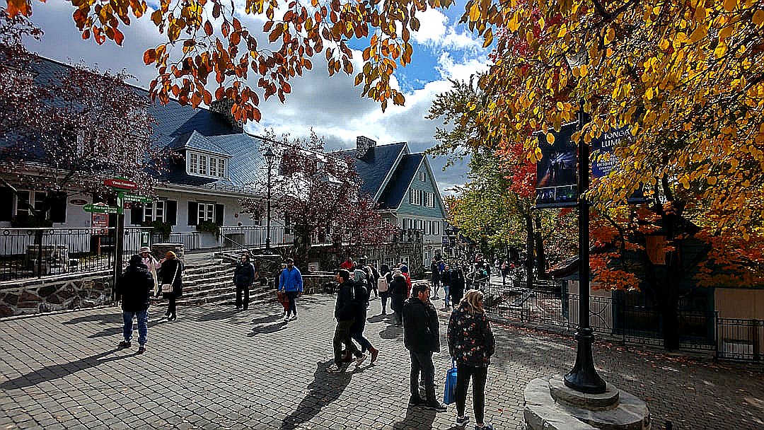 a group of people walking on a sidewalk with trees and buildings in the background