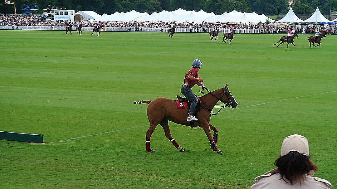 Polo players on horses play a game.