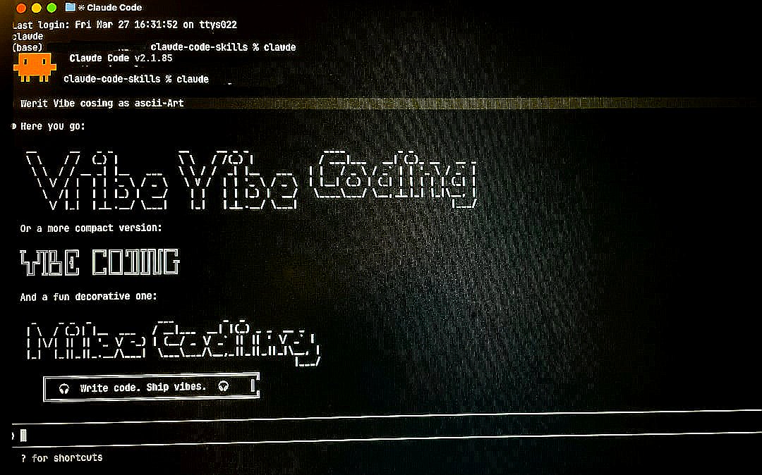 Computer screen displays "vibe vibe coding" text
