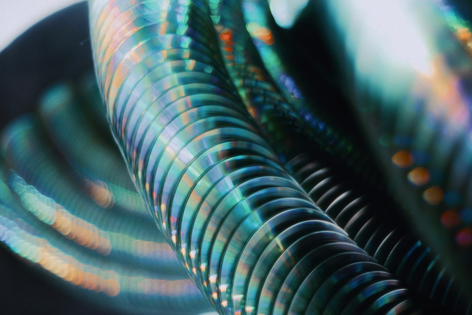 Close-up of iridescent coiled metallic springs