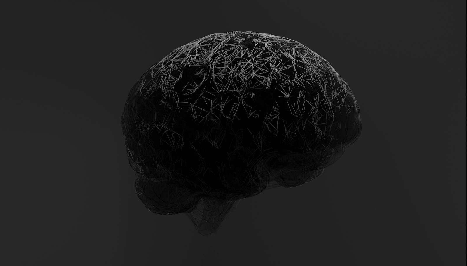 A black and white photo of a brain