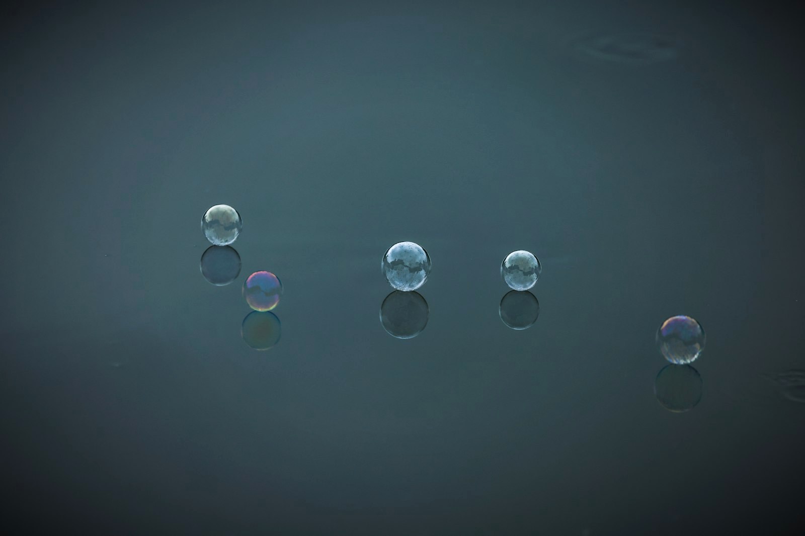 a group of bubbles floating on top of a body of water
