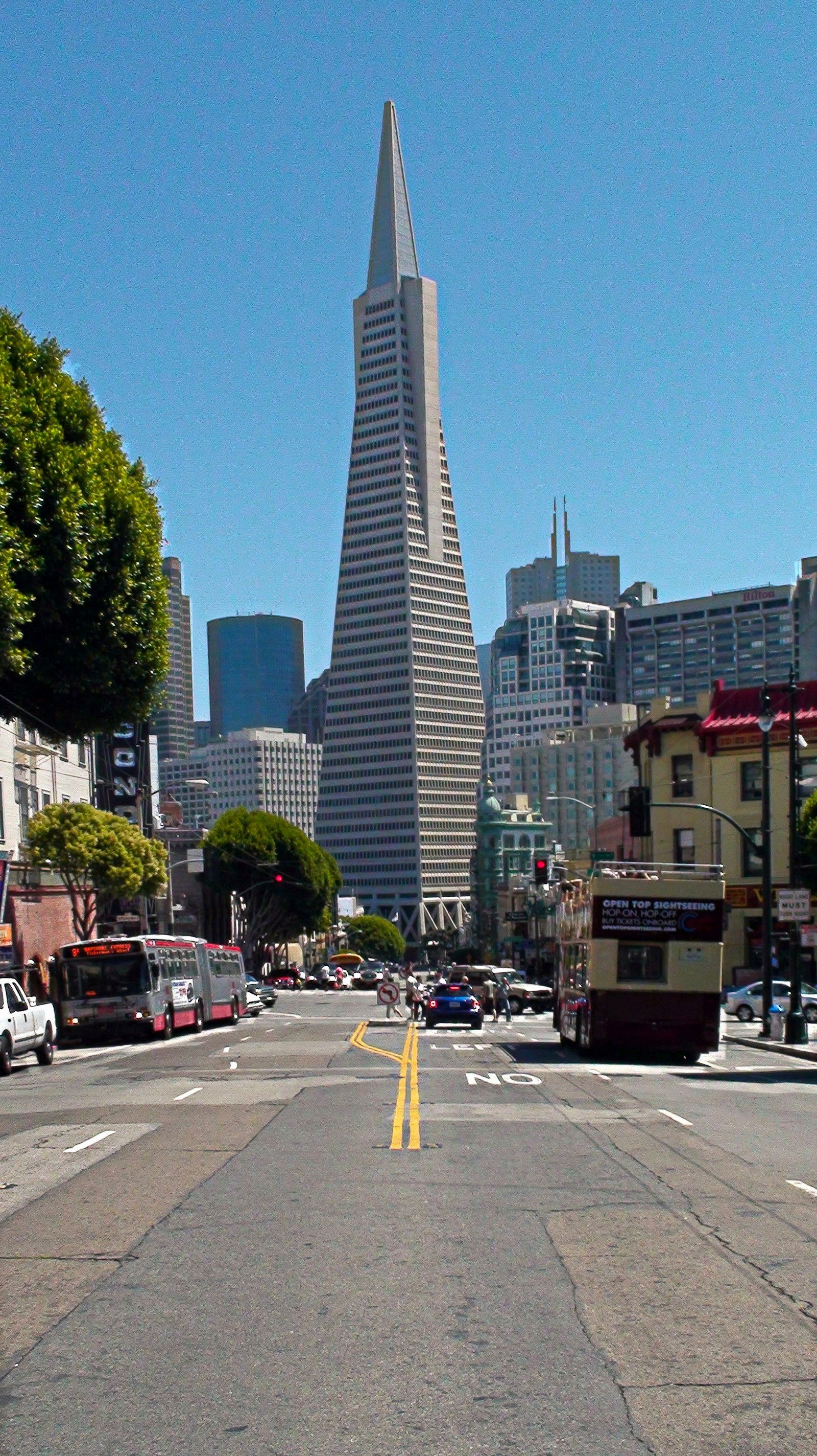 Transamerica pyramid building in san francisco cityscape