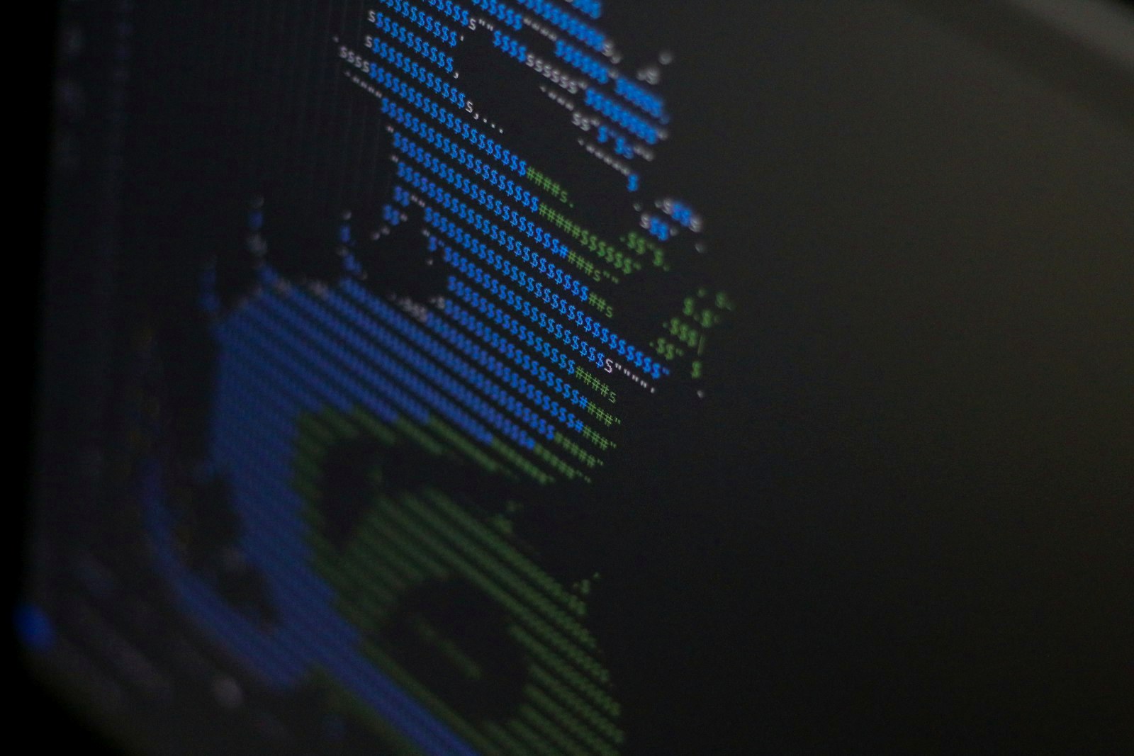A close up of a computer screen with a blurry image of a person