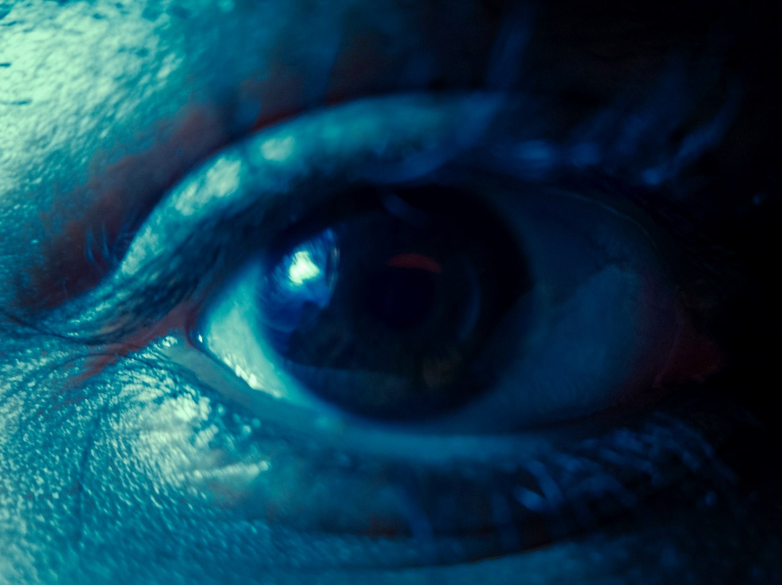 A close-up of a human eye illuminated by cool blue light